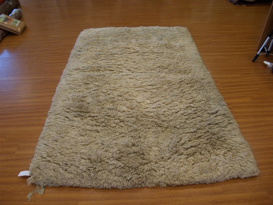 Image result for DIRTY RUGS