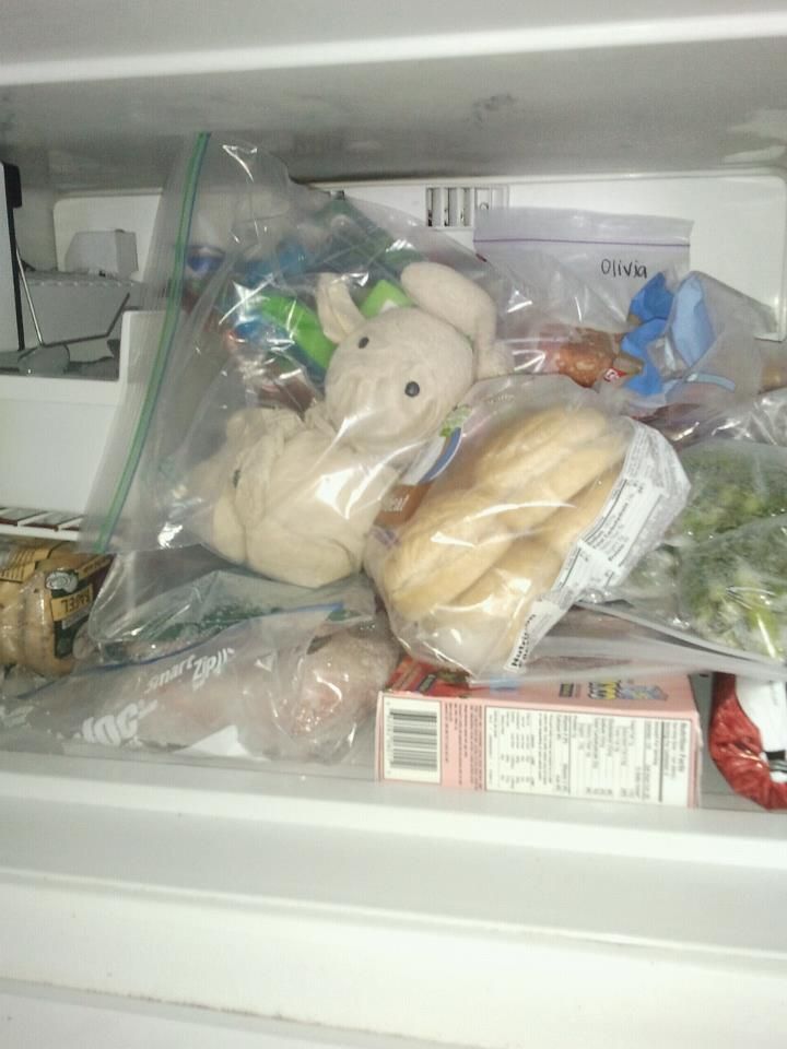 putting stuffed animals in freezer