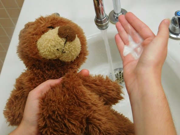 washing teddy bears